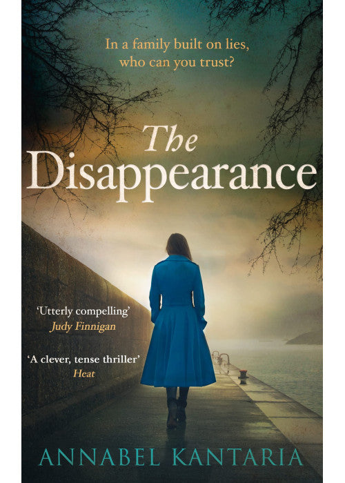 The Disappearance: A Gripping Thriller That Will Keep You Guessing