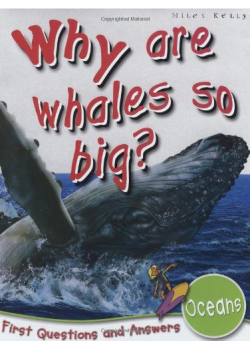 Oceans: Why are Whales So Big? (First Q&A)