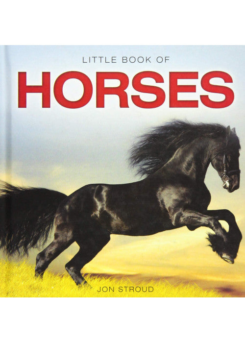 Little Book of Horses (Little Books)