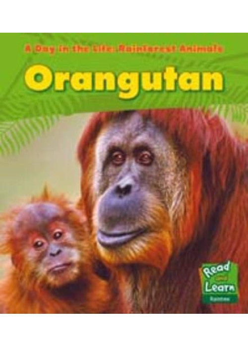 Orangutan (A Day in the Life: Rain Forest Animals)