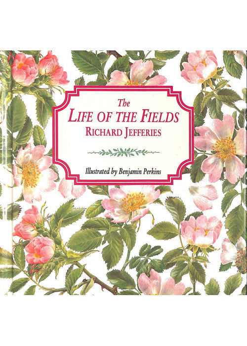 The Life of the Fields