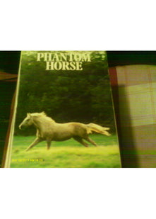 Phantom Horse (An Armada pony book)