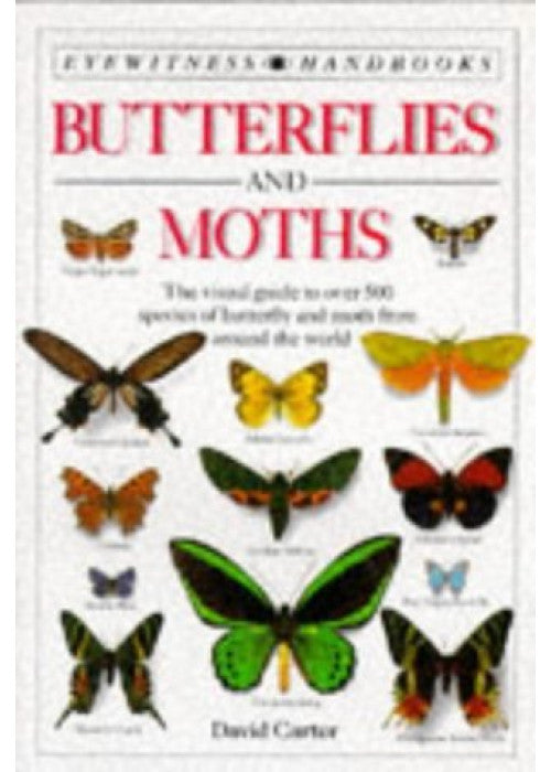 Eyewitness Handbook: 03 Butterflies & Moths
