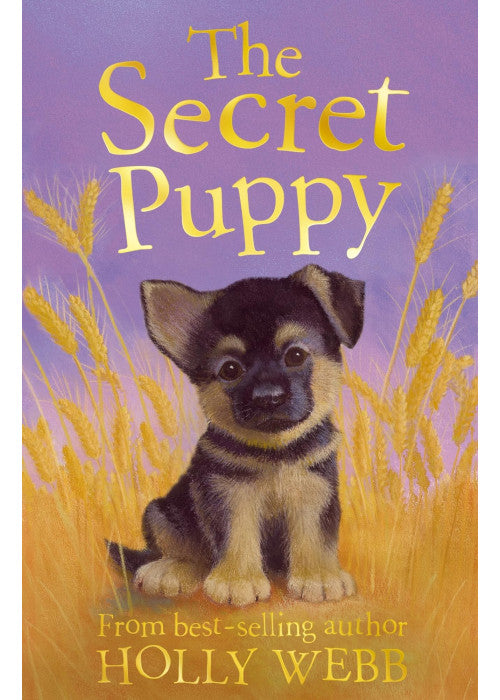 The Secret Puppy: 22 (Holly Webb Animal Stories, 22)