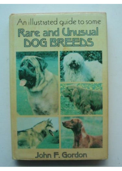 Rare and Unusual Dog Breeds