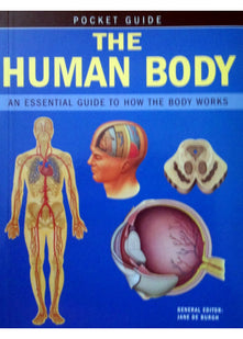 The Human Body: An Essential Guide to How the Body Works (Pocket Guides)