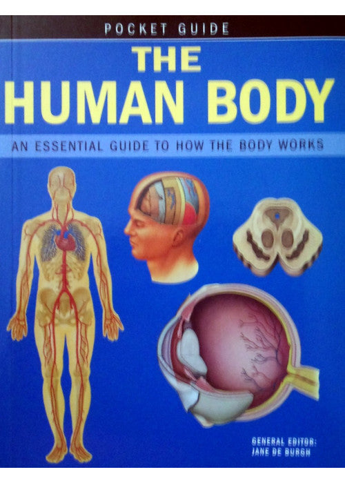 The Human Body: An Essential Guide to How the Body Works (Pocket Guides)