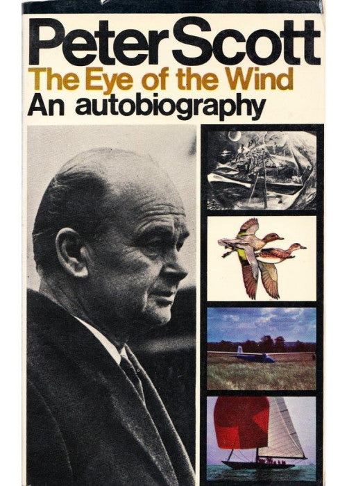 Eye of the Wind