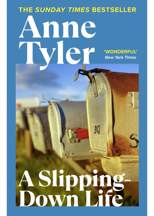 A Slipping Down Life: A compelling portrait of small-town life, teenage obsession and fractured dreams from the Sunday Times bestselling author