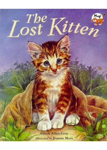 The Lost Kitten!