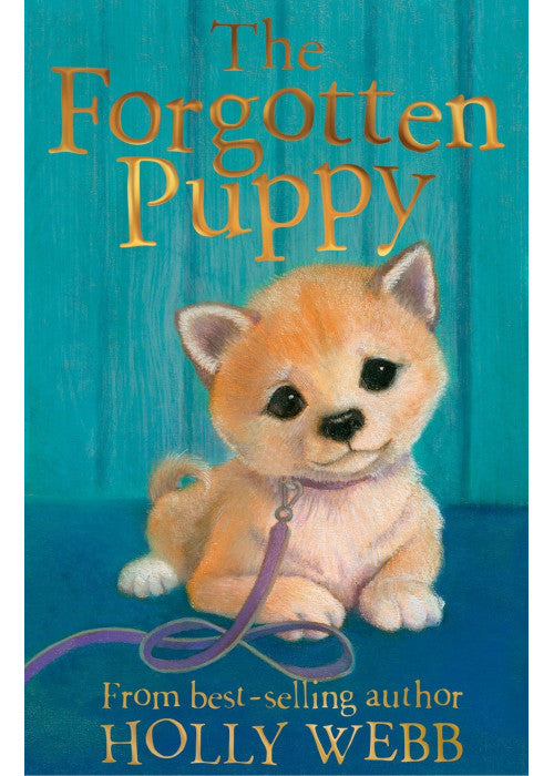 The Forgotten Puppy: 29 (Holly Webb Animal Stories, 29)