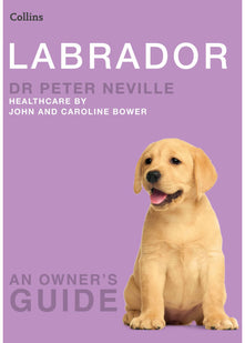 Labrador: An Expert Vet-Consulted Guide to Dog Training and Essential Pet Care (Collins Dog Owner’s Guide)