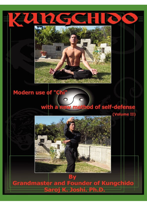 Kungchido: MODERN USE OF CHI WITH NEW METHOD OF SELF-DEFENSE (Volume II): 2