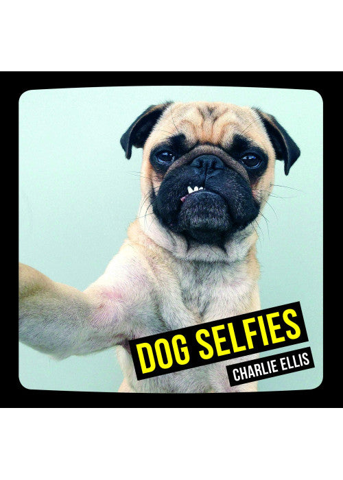 Dog Selfies