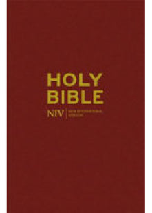 NIV Popular Bible