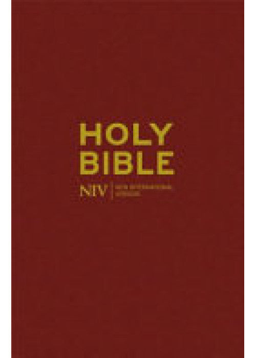 NIV Popular Bible
