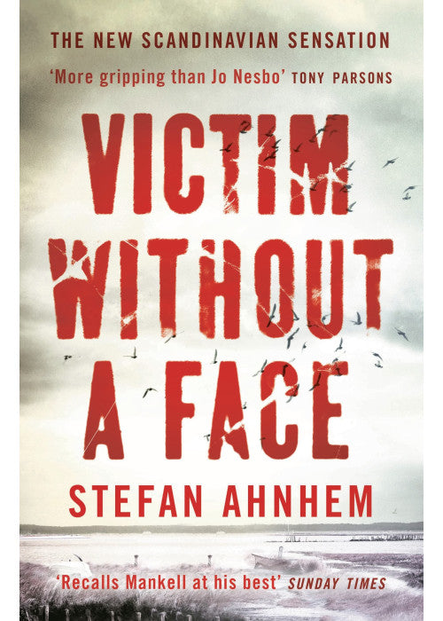 Victim Without a Face: 1 (A Fabian Risk Thriller)