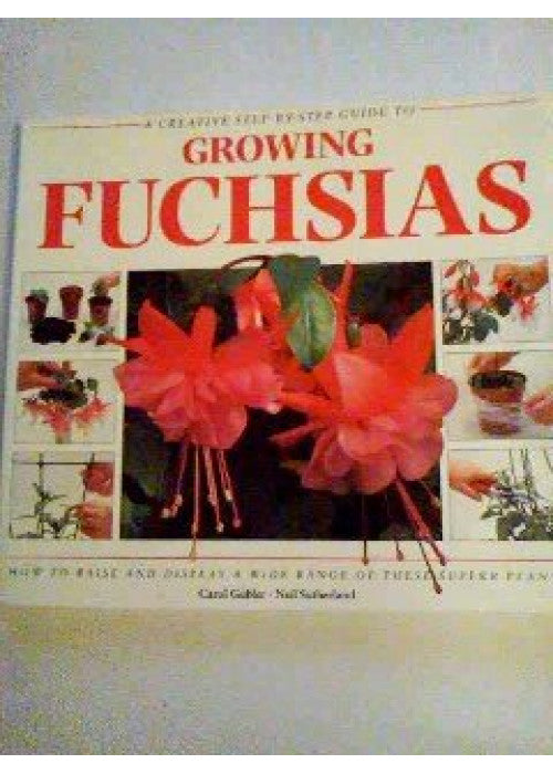 Creative Step by Step Guide to Growing Fuchsias