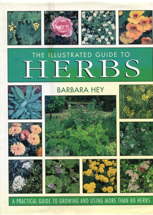 The Illustrated Guide to Herbs