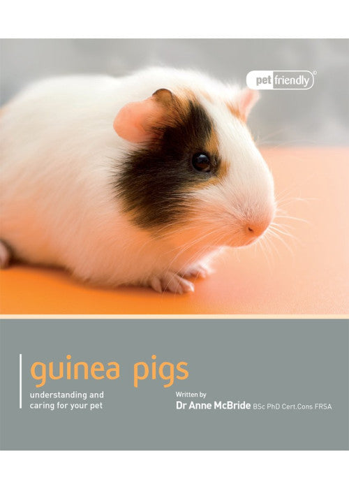 Guinea Pig - Pet Friendly: Understanding and Caring for Your Pet