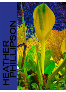 Heather Phillipson