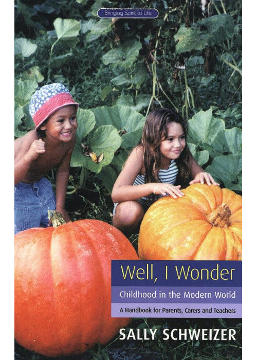 Well I Wonder: Childhood in the Modern World, a Handbook for Parents, Teachers and Carers (Bringing Spirit to Life)