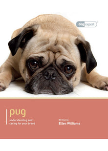 Pug - Dog Expert