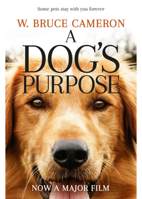 A Dog's Purpose: 1