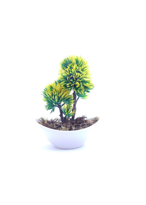 Step-By-Step Garden Guides: Bonsai