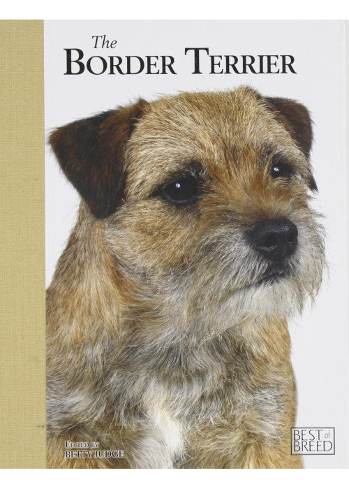 Border Terrier - Best of Breed: 8