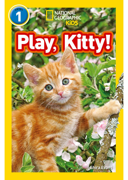 Play, Kitty!: Level 1 (National Geographic Readers)
