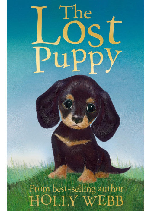 The Lost Puppy: 20 (Holly Webb Animal Stories, 20)