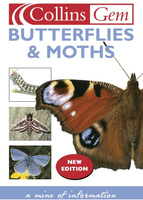 Butterflies (Collins Gem)