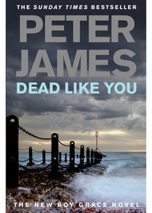 Dead Like You: The Pulse-Pounding Crime Thriller from the Multi-Million Copy Bestselling Author