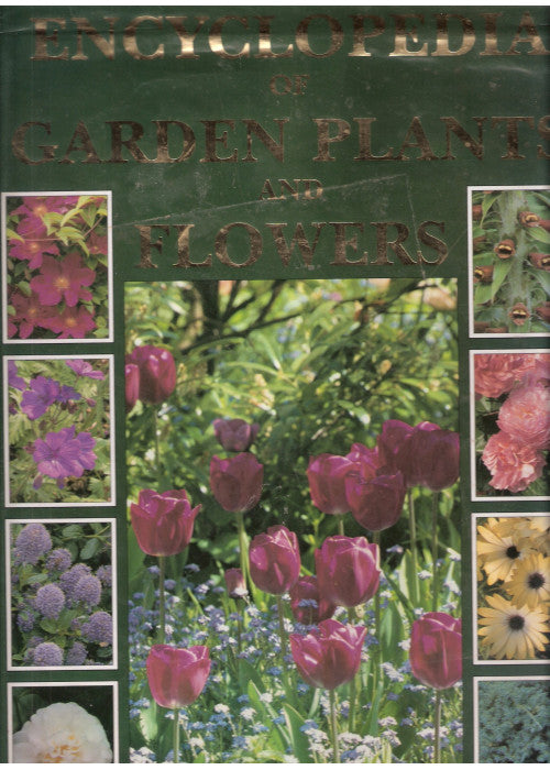 Encyclopaedia of Garden Plants