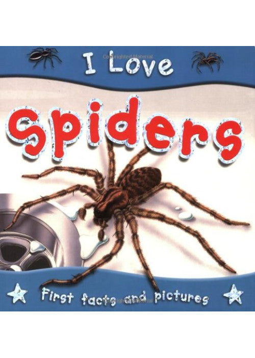 I Love Spiders