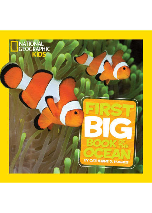 Little Kids First Big Book of the Ocean (National Geographic Kids)