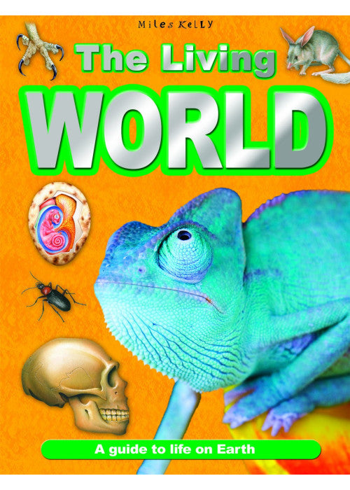 Living World