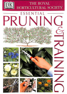 RHS Pruning and Training