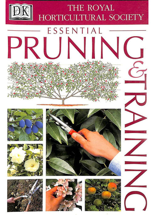 RHS Pruning and Training