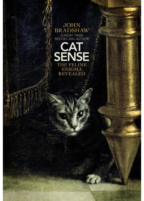 Cat Sense: The Feline Enigma Revealed