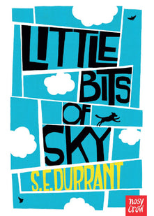 Little Bits of Sky