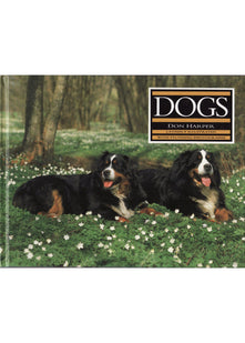 Dogs
