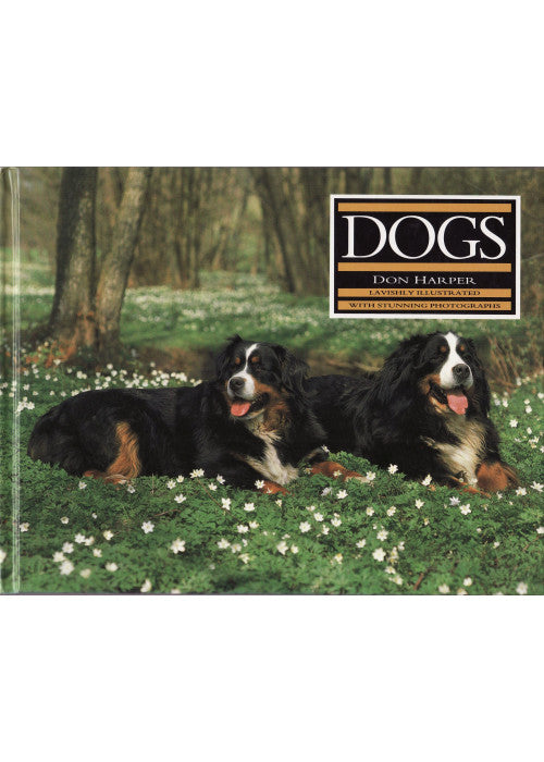 Dogs