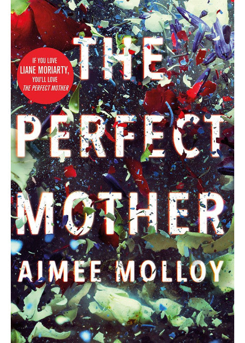 The Perfect Mother: A gripping thriller with a nail-biting twist
