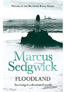 Floodland