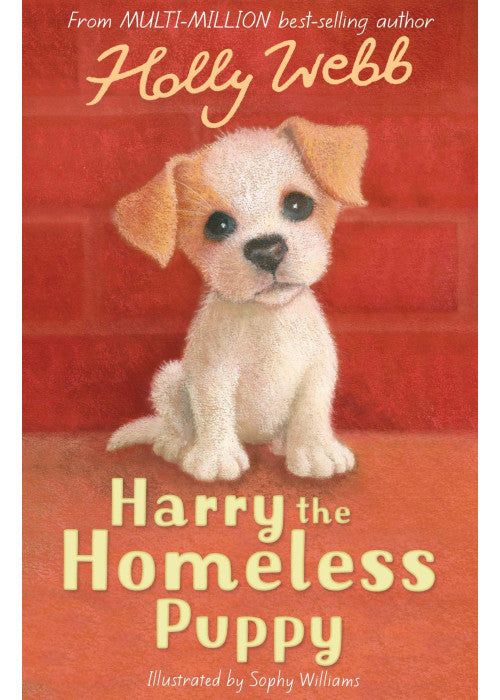 Harry the Homeless Puppy: 9 (Holly Webb Animal Stories, 9)