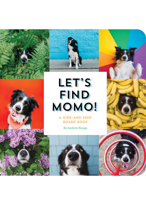Let's Find Momo!: A Hide-and-Seek Board Book: 3
