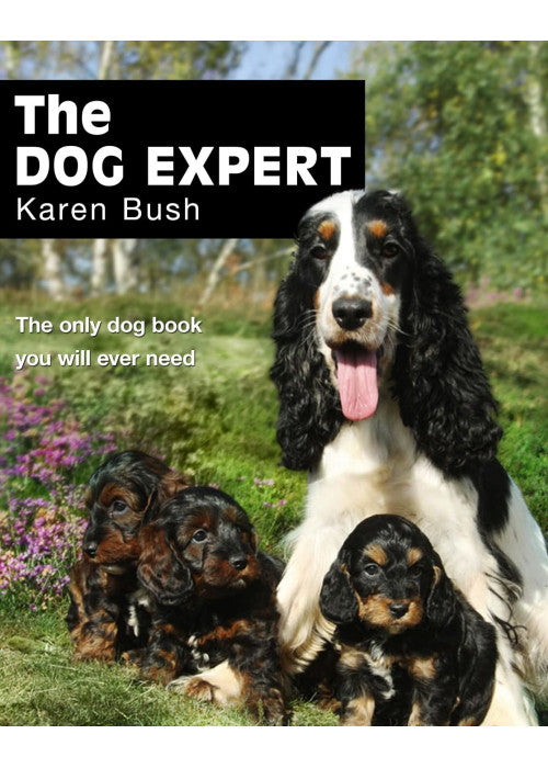 The Dog Expert