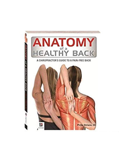 anatomy of a healthy back,